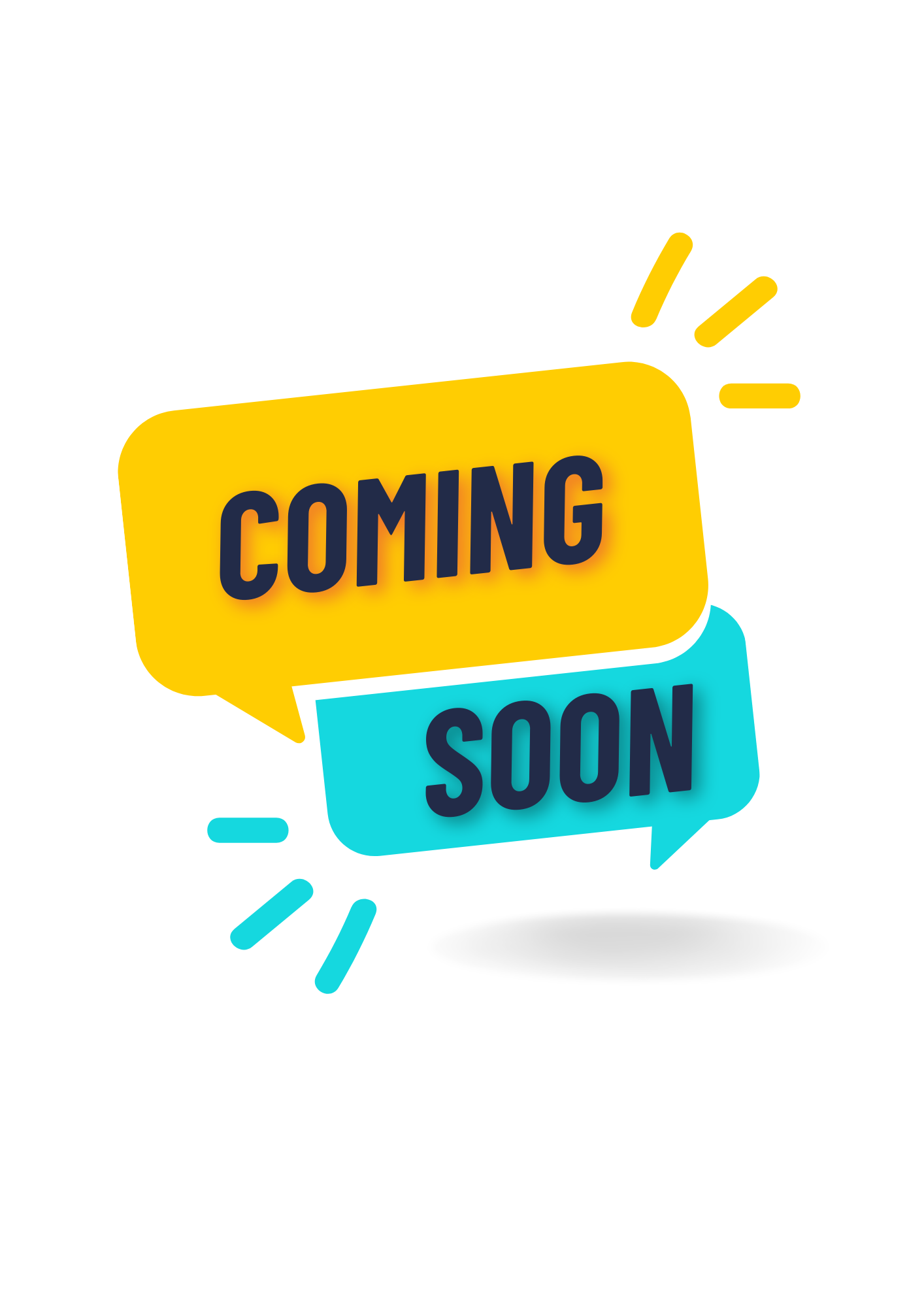 26th March 2026 - Ramanavami Celebrations